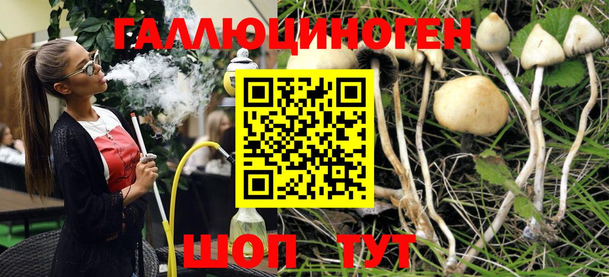 Псилоцибиновые грибы Cubensis  Вход с VPN  Псилоцибиновые грибы ЛСД  хочу   Иркутск 