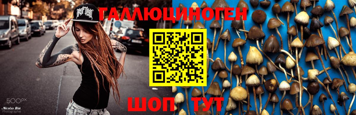 Галлюциногенные грибы Cubensis Иркутск